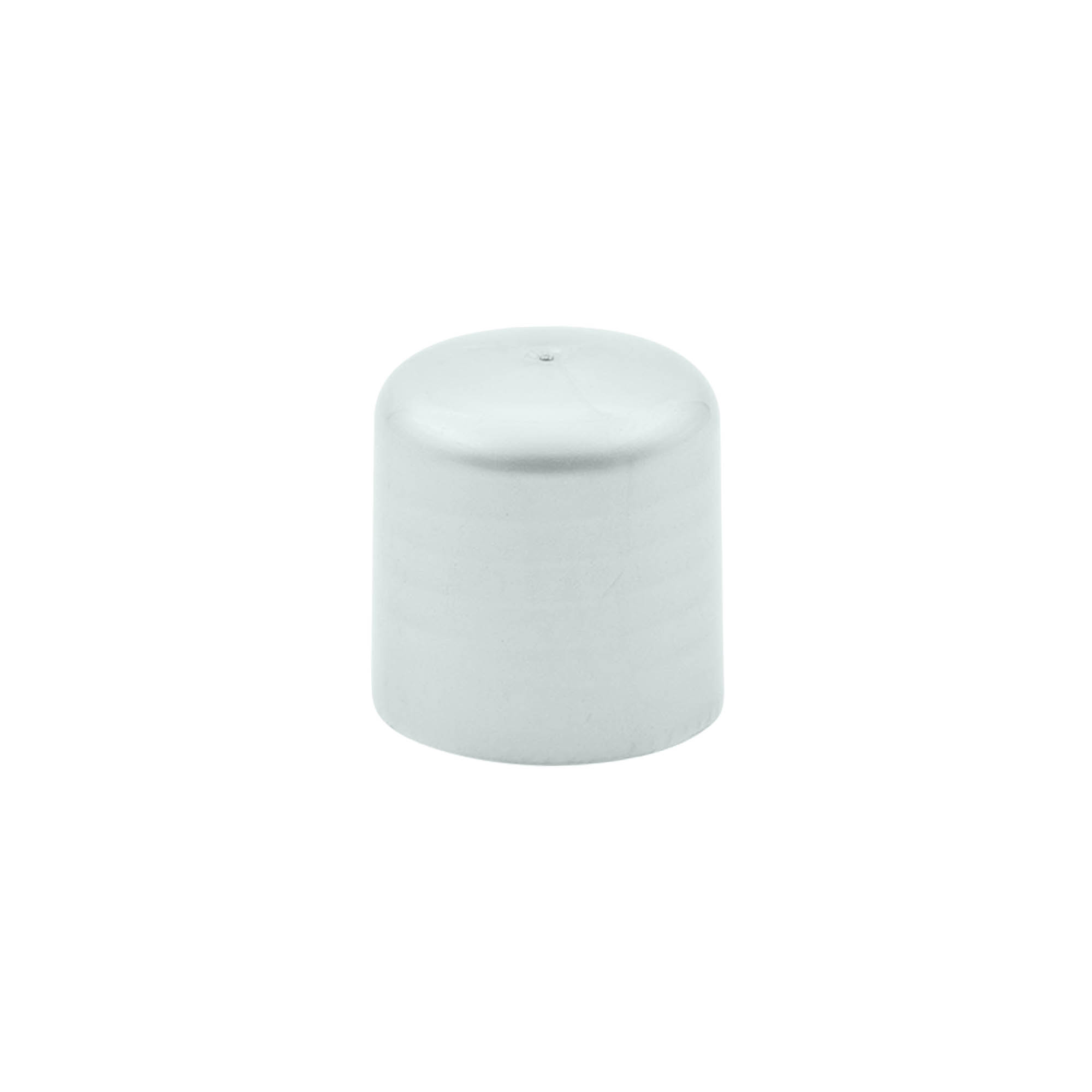 Skruvlock med sprutinsats, PP-plast, silver, för mynning: 24/410 Skruvlock med sprutinsats, PP-plast, silver, för mynning: 24/410
