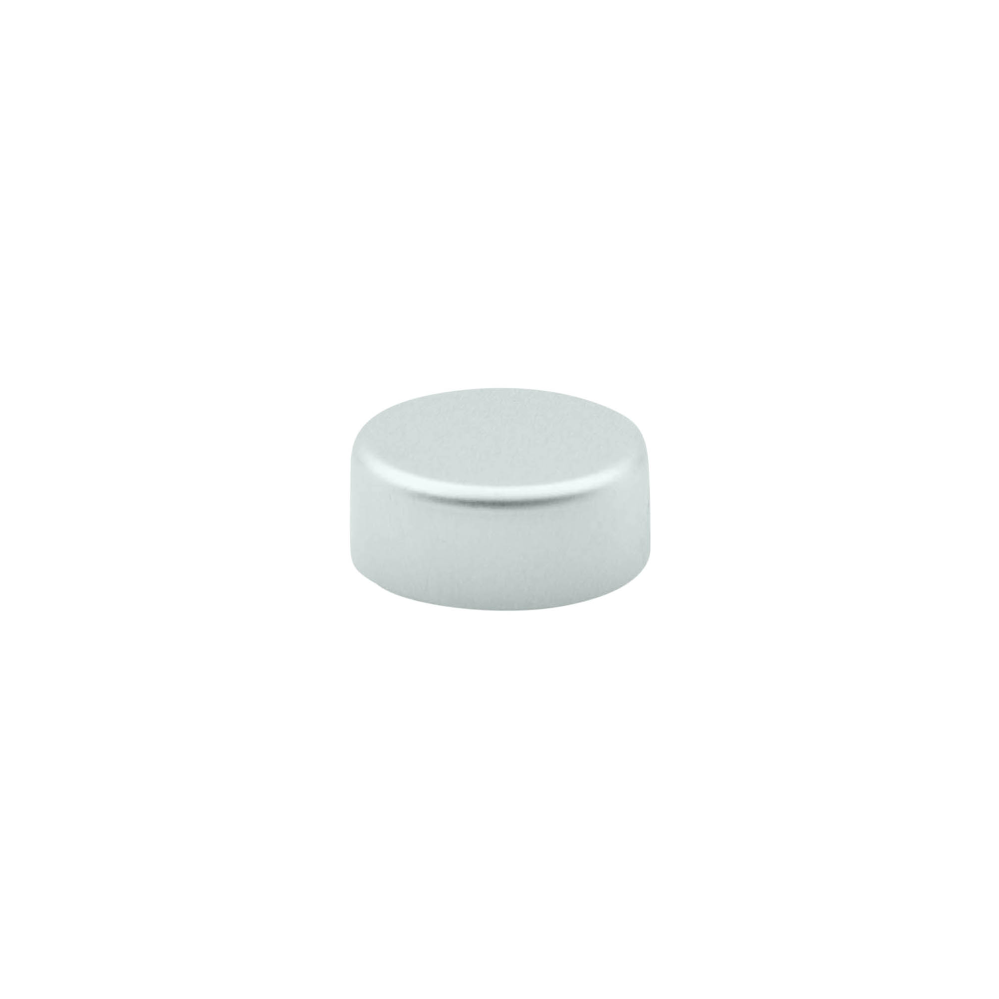 Skruvlock, ABS-plast, silver, för mynning: GPI 22/400 Skruvlock, ABS-plast, silver, för mynning: GPI 22/400