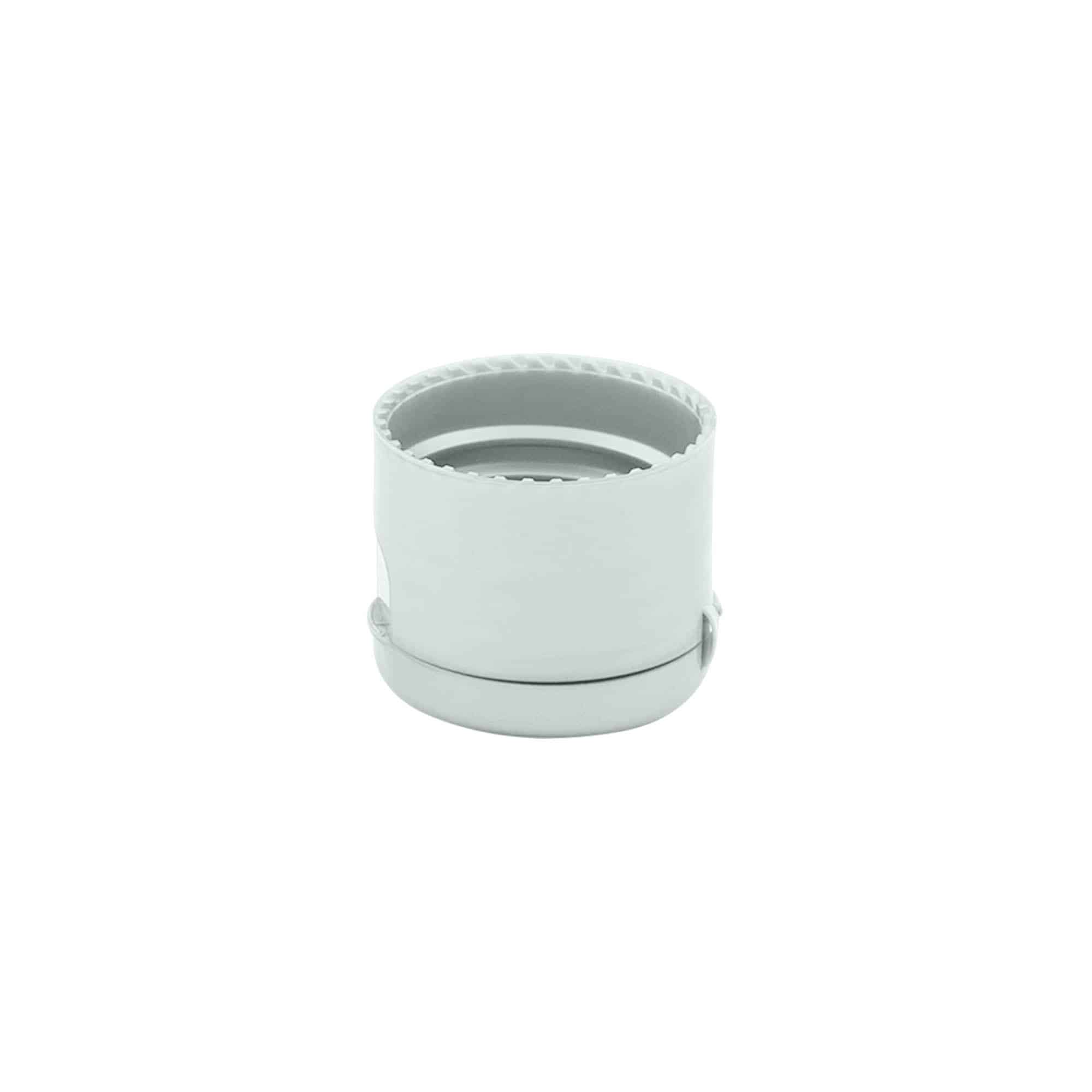 Skruvkapsel gångjärnslock, PP-plast, silver, för mynning: 24/410